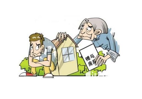 房產(chǎn)新人如何通過(guò)信息咨詢服務(wù)成功售房 從入門到精通的完整指南