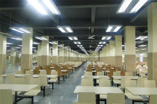 禪城專業(yè)工廠食堂承包 一站式信息咨詢服務(wù)，助力企業(yè)高效餐飲管理